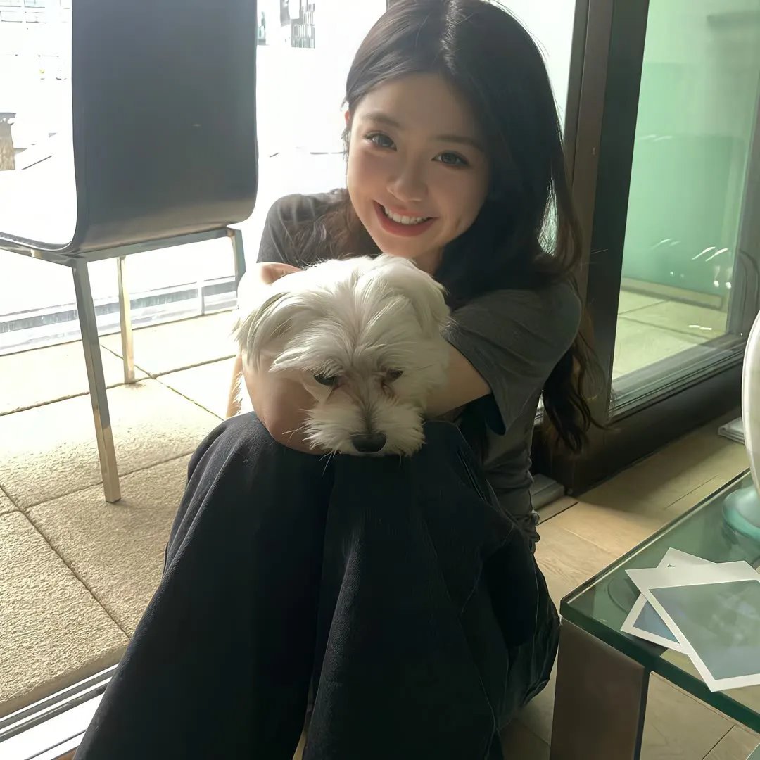 如何与我的猫分手